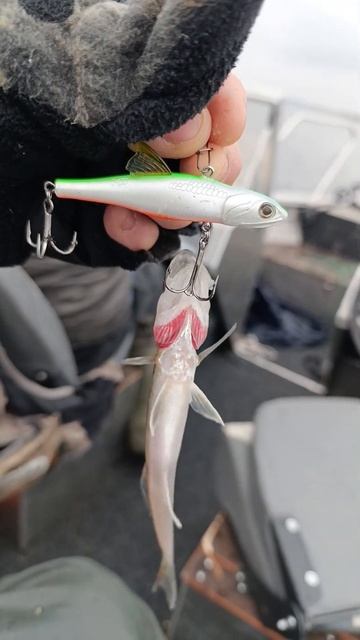 тестим замечательный виб littlejack fishing ratlin vib рыбалка