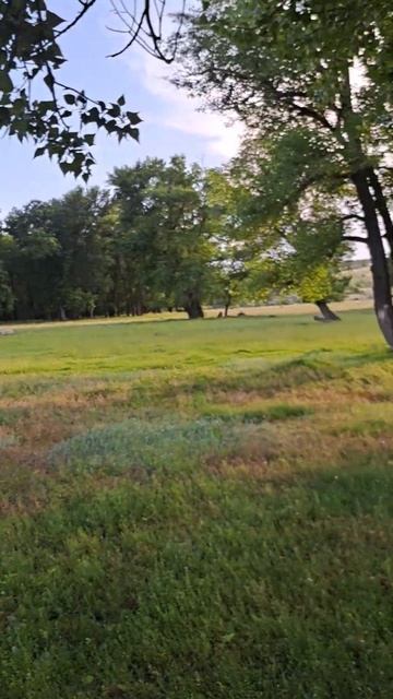 рыбалка на дону. Приехали на речку Дон. смотреть онлайн