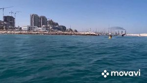 Морская рыбалка на тунца