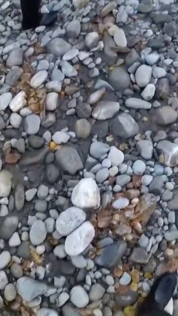 Рыбалка 🎣 на хариуса в Бурятии #шорст #fishing #отдых #дру? смотреть онлайн