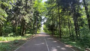 В Мытищинском лесопарке стартовали работы по благоустройству