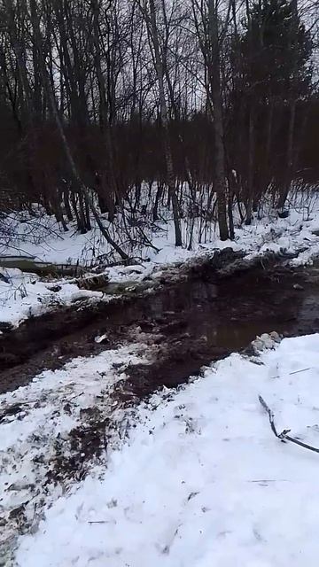 На рыбалку 🤣#тойота #рыбалка #квадроцикл #охота #снего смотреть онлайн