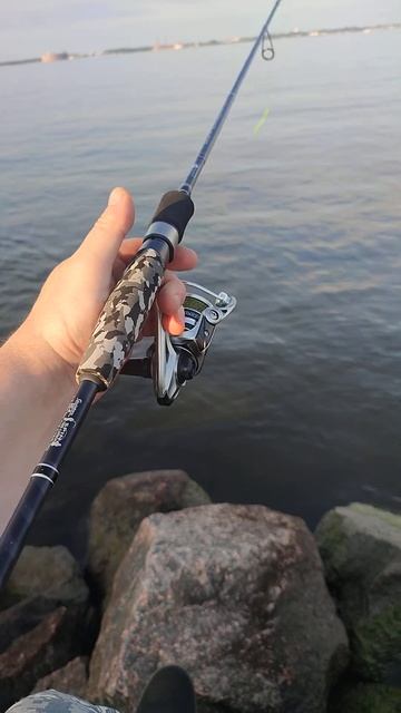 AQUA TWINGO. Спиннинг 2 в 1. Стильная и практичная палочка за смотреть онлайн