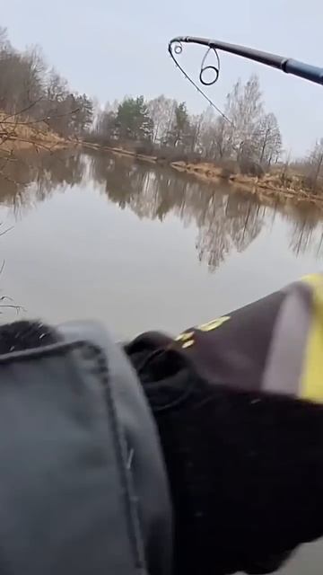 Проводка на МАНДУЛУ которая работает всегда!?🤔✅️🎣? смотреть онлайн