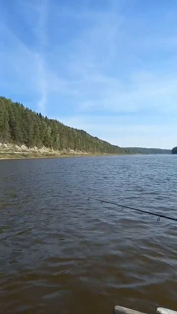 🐟 #красотарядом #великийустюг #рыбалка #окунь #рыба #п? смотреть онлайн