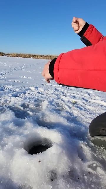 Любимое дело😄🎣 #shorts #shortvideo#youtube #рыбалка #youtubeshorts#reels #? смотреть онлайн