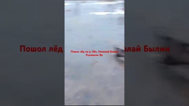 Добро #доброесердце #братьянашименьшие  #сибирь #томск