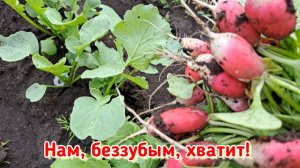 Какая-то запара...