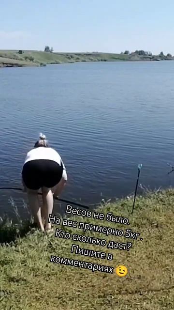Рекорд сезона зеркальный карп на поплавок😎 #minenko#fishin смотреть онлайн