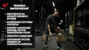 Тяга штанги к поясу 1 рукой | Тренировка спины