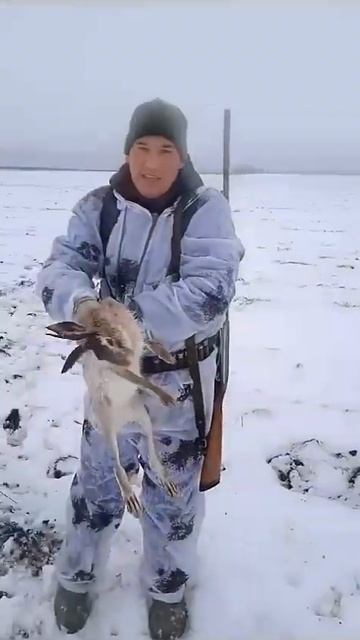 Охота на зайца. Добыли хитреца фортового. Охота 26 нояб смотреть онлайн