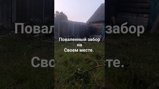 деревня Ямное Брянской области гордеевского района. п смотреть онлайн