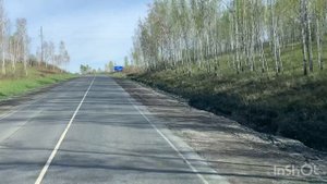 Дикие колёса 😀