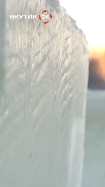 Традиционная заготовка льда в Якутии #якутия #лед #зим? смотреть онлайн
