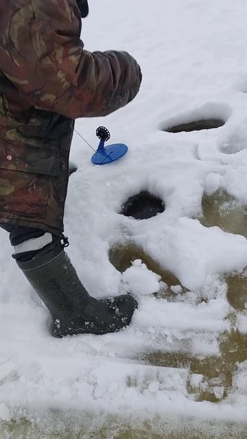 Жерлицы весна 2024г.оз.Воже. смотреть онлайн