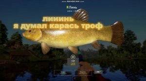 РР4 ловля карася. 2 недотрофа! Прокачка фидера