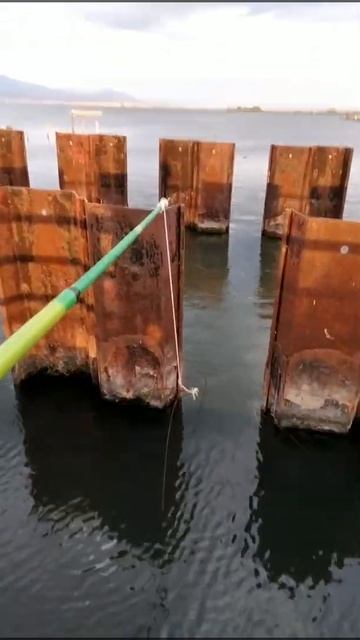 САЛОНИКИ,КАЛОХОРИ,РЫБАЛКА, на,ПАУК,#shorts смотреть онлайн