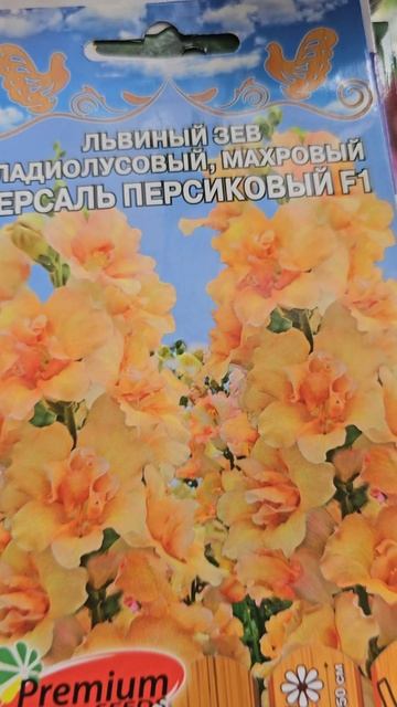 Всегда делаю так - в 2 раза больше цветов #сад #садоводн? смотреть онлайн