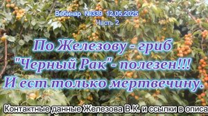 Железов Валерий. Вебинар 339. ч.2. По Железову- гриб Черный Рак- полезен!!! И ест только мертвечину.