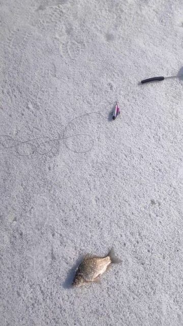 6 апреля 2025 г. смотреть онлайн