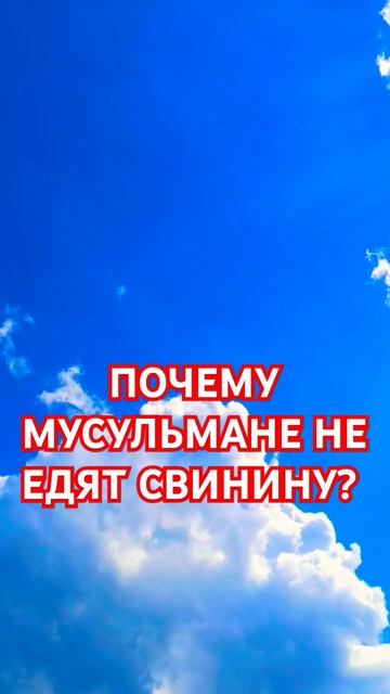 ПОЧЕМУ МУСУЛЬМАНЕ НЕ ЕДЯТ СВИНИНУ? #ислам #напоминание смотреть онлайн