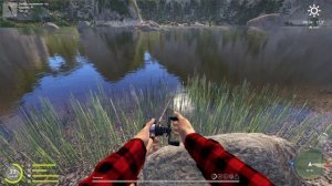 Русская рыбалка 4. рр4. Белая. Свежие точки клева.