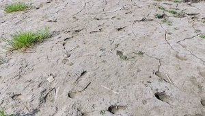 г.Енакиево что происходит с водоёмами из-за нехватки воды в днр 13.05.2025г.