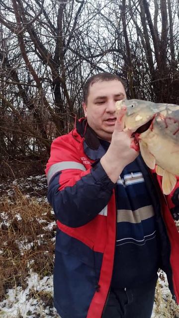 Рыбалка на карпа зимой.#shorts смотреть онлайн