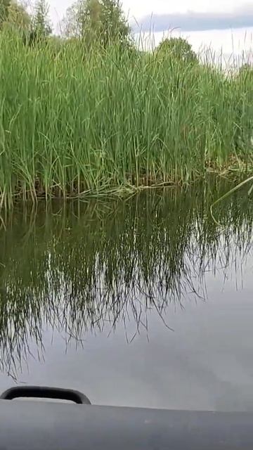 Протоки Васильевских островов. смотреть онлайн