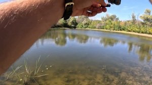 МОРМЫШИНГ | МОНОЛЕСКА ИЛИ ШНУР | CF SUB ZERO