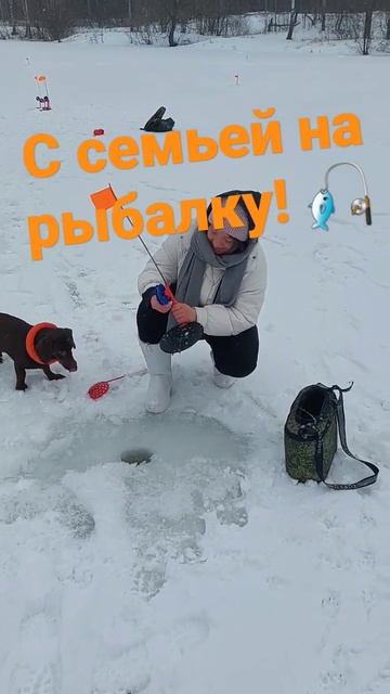 Жена ставит жерлицы #shorts #рыбалка #жерлицы #зима #топ #щ? смотреть онлайн