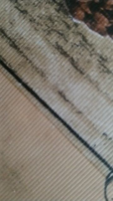 Россия современная даже не ЛОЖНАЯ ИМПЕРИЯ это царство смотреть онлайн