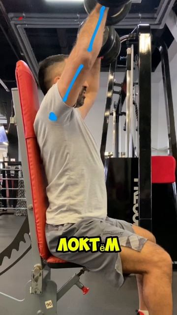 Жим сидя гантелями #sports #саморазвитие #фитнес #плечи смотреть онлайн