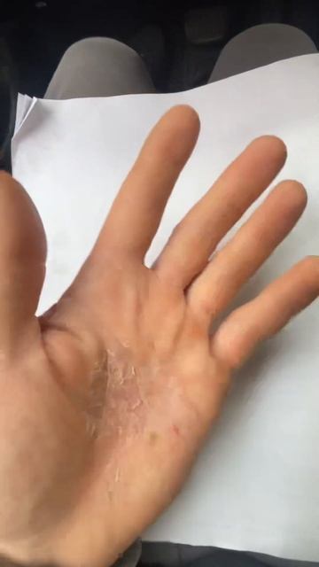 Опыт: что страшнее борщевик или плиточный клей? смотреть онлайн