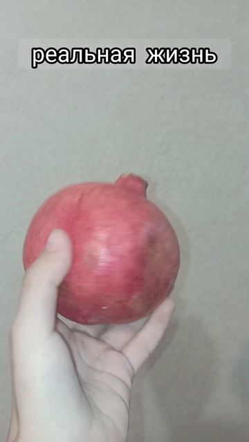 попался квадратный гранат#брохт#брух#мем#shortvideo#countryballs смотреть онлайн