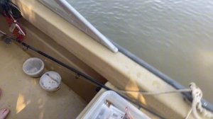 Рыбалка в Маково 16.08.2024 г. Ловим сома! #маково #рыбалка #f