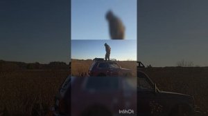осенью на рыбалке 2024 в Кировской области на р.Вятка. мо
