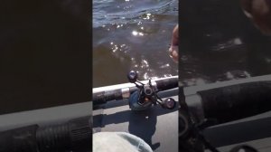 мультипликаторная катушка. леворукая или праворукая?