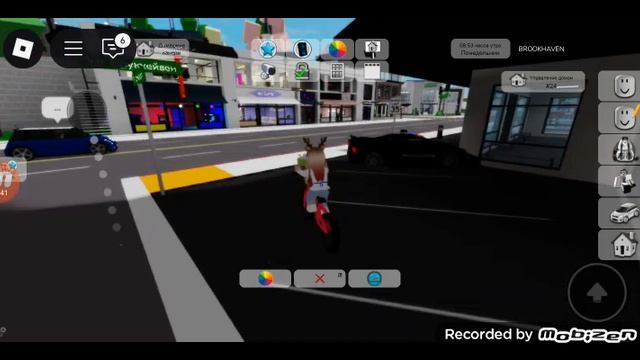 Катя и Ваня играют в BROOKHAVEN.