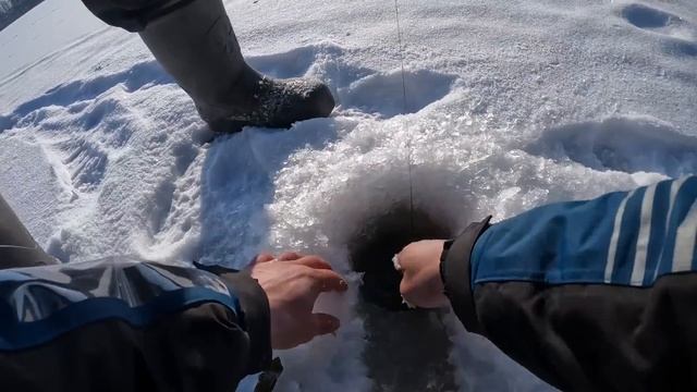 ПОПАЛ НА ВЫХОД КРУПНЫХ ЩУК!РЫБАЛКА В ЛАТГАЛИИ.ЗИМНЯЯ Р смотреть онлайн