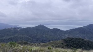Совместимость женщина-Весы и мужчина-Водолей