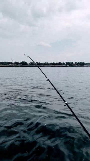 2 августа 2024 г. смотреть онлайн