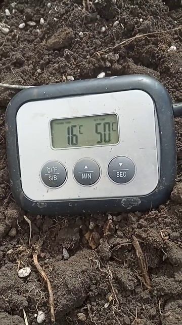 #цветочнаяферма #деревенскаяжизнь #farmer #теплица #расса