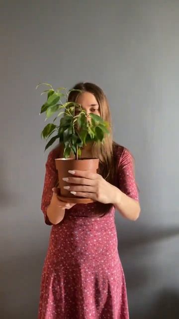 Это лишь часть моей коллекции) #цветы #комнатныерастен