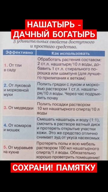 Дачные советы огородникам #советы #полезныесоветы #да?