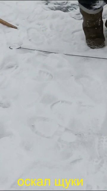 Рыбалка на судака хапугой смотреть онлайн