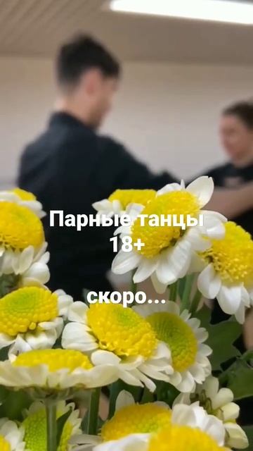 Парные танцы для взрослых Москва Филевский парк танцымосква