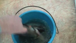 Как сделать вкусную таранку из крупного леща. #лещ #рец
