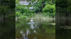 Обзор на канал Наша жизнь в Германии: зачем выкидывать