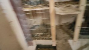 Неурожайный год .VID_20250513_094154.mp4